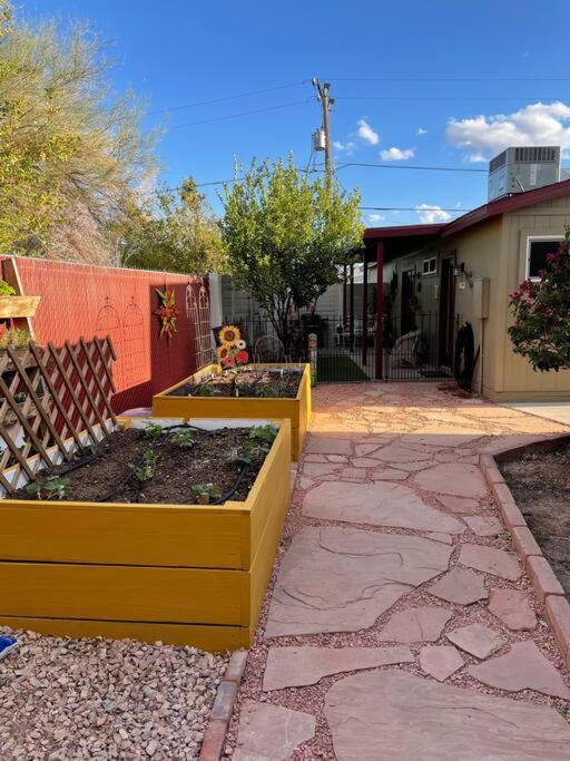 Encanto Cactus Flower Casita 피닉스 외부 사진
